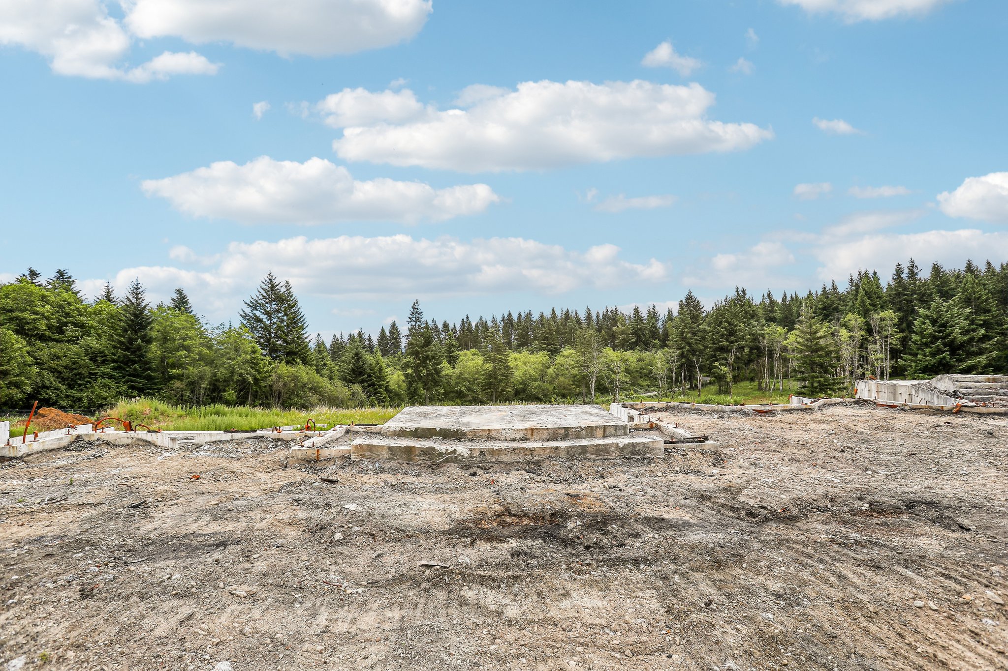 NE Livingston Mountain Cir-S1706-003.jpg