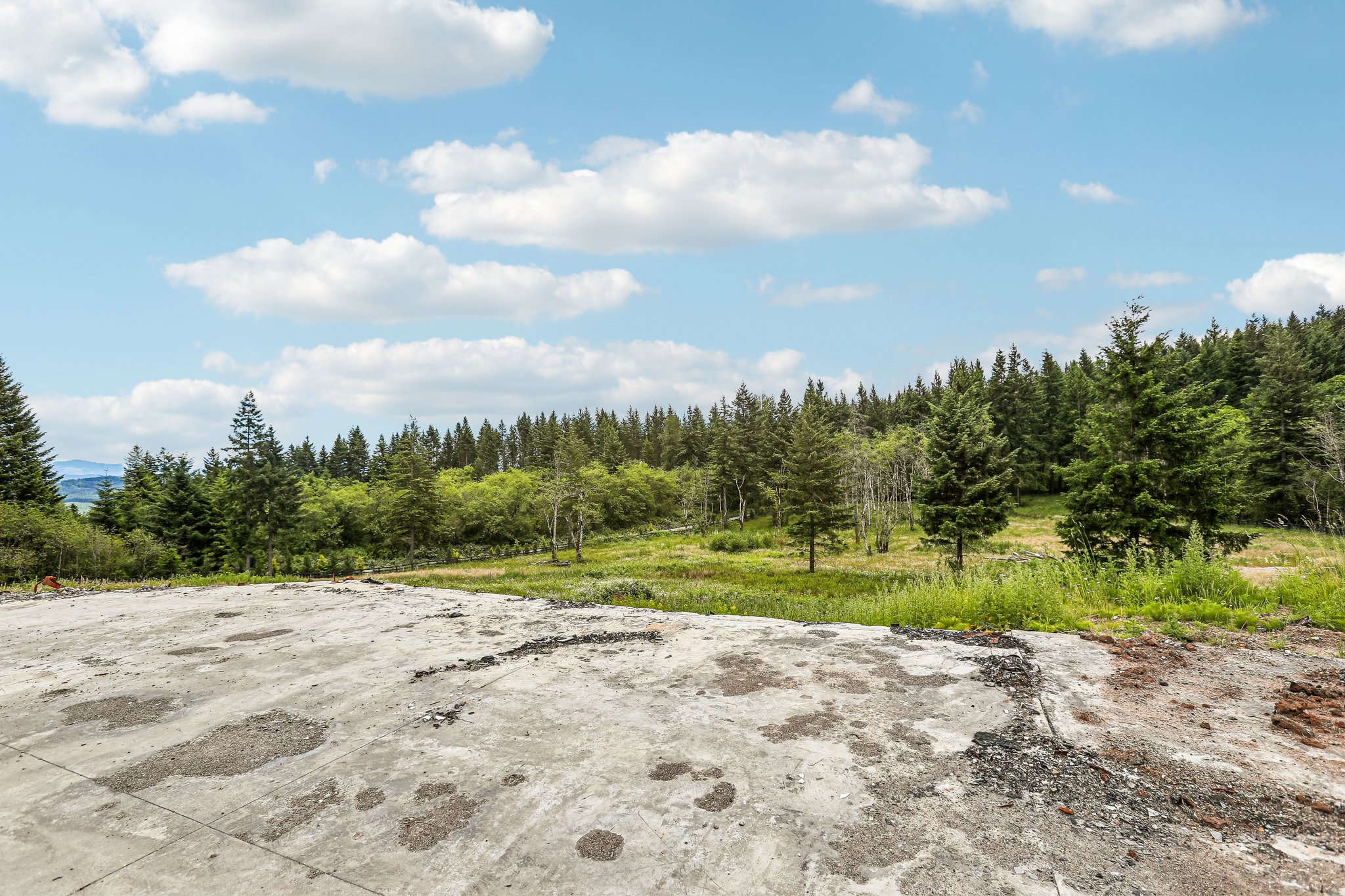 NE Livingston Mountain Cir-S1706-005.jpg