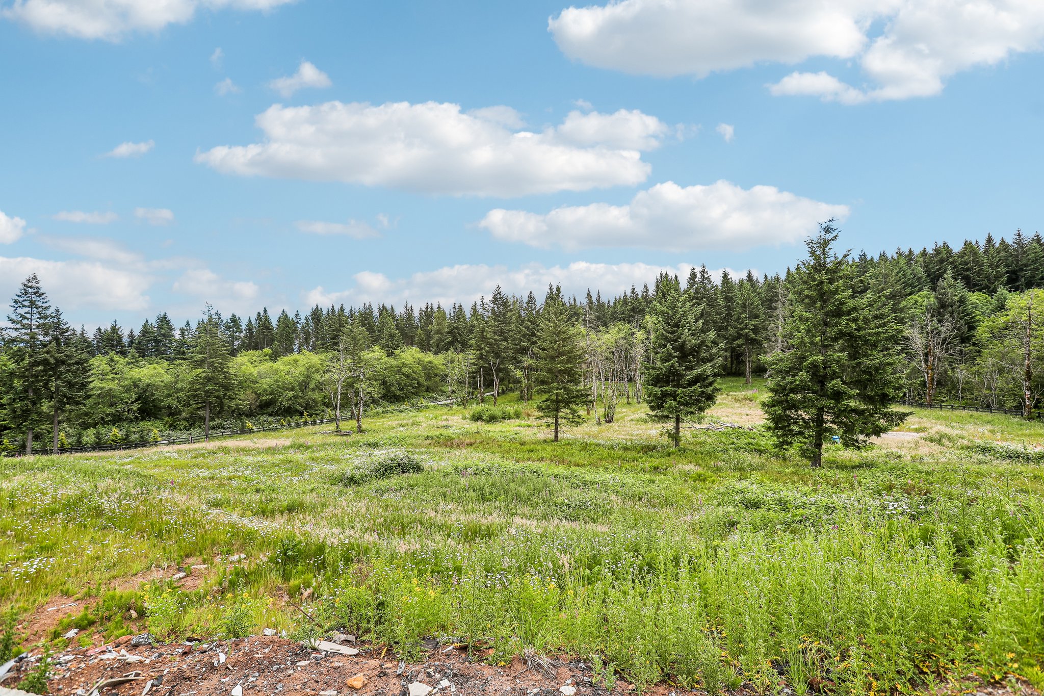 NE Livingston Mountain Cir-S1706-006.jpg