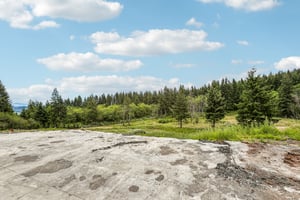 NE Livingston Mountain Cir-S1706-005.jpg