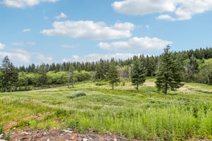 NE Livingston Mountain Cir-S1706-006.jpg
