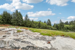 NE Livingston Mountain Cir-S1706-007.jpg