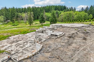 NE Livingston Mountain Cir-S1706-008.jpg
