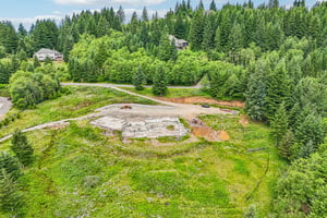 NE Livingston Mountain Cir-S1706-011.jpg
