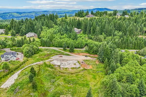 NE Livingston Mountain Cir-S1706-012.jpg