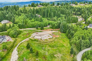 NE Livingston Mountain Cir-S1706-014.jpg