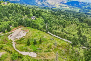 NE Livingston Mountain Cir-S1706-015.jpg