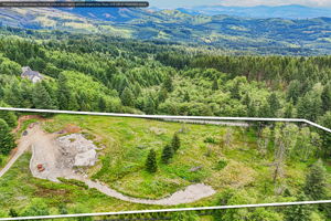 16-print-NE Livingston Mountain Cir-S1706-016-Property_lines
