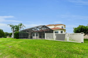 Backyard 4