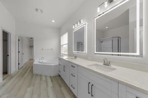 Lower Level Primary Bathroom 1a