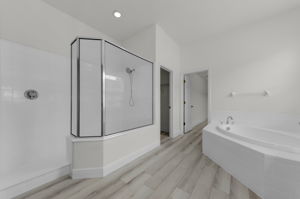 Lower Level Primary Bathroom 1b