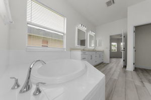 Lower Level Primary Bathroom 1c