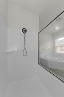 Lower Level Primary Bathroom 1d