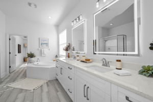 Lower Level Primary Bathroom 1a