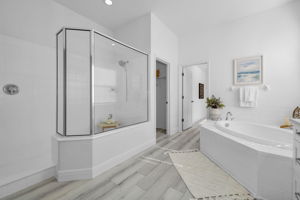 Lower Level Primary Bathroom 1b