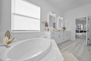 Lower Level Primary Bathroom 1c