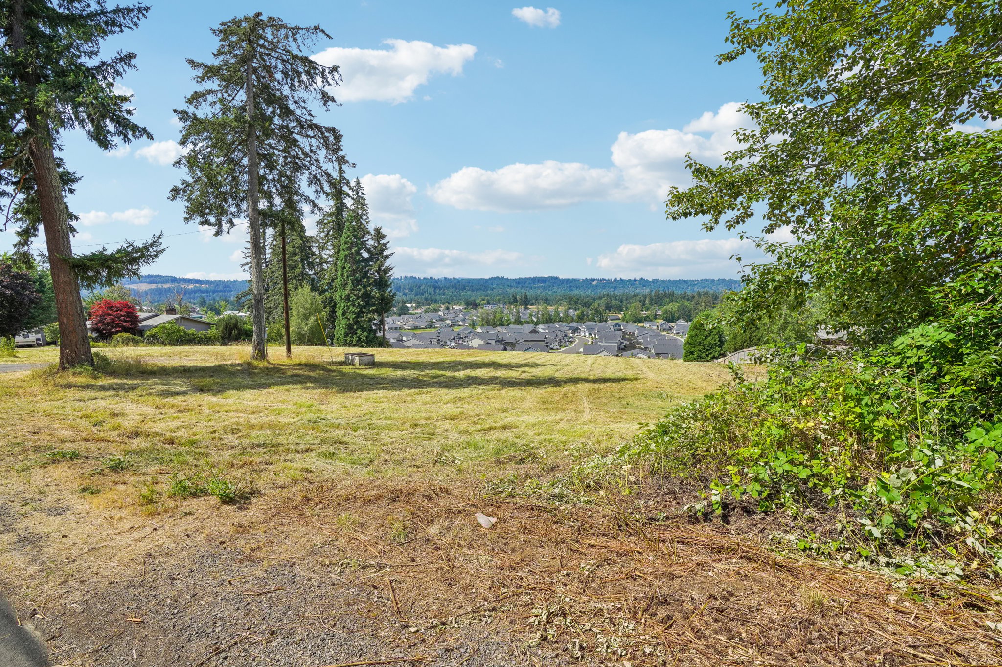 SE Cemetery Rd-016.jpg