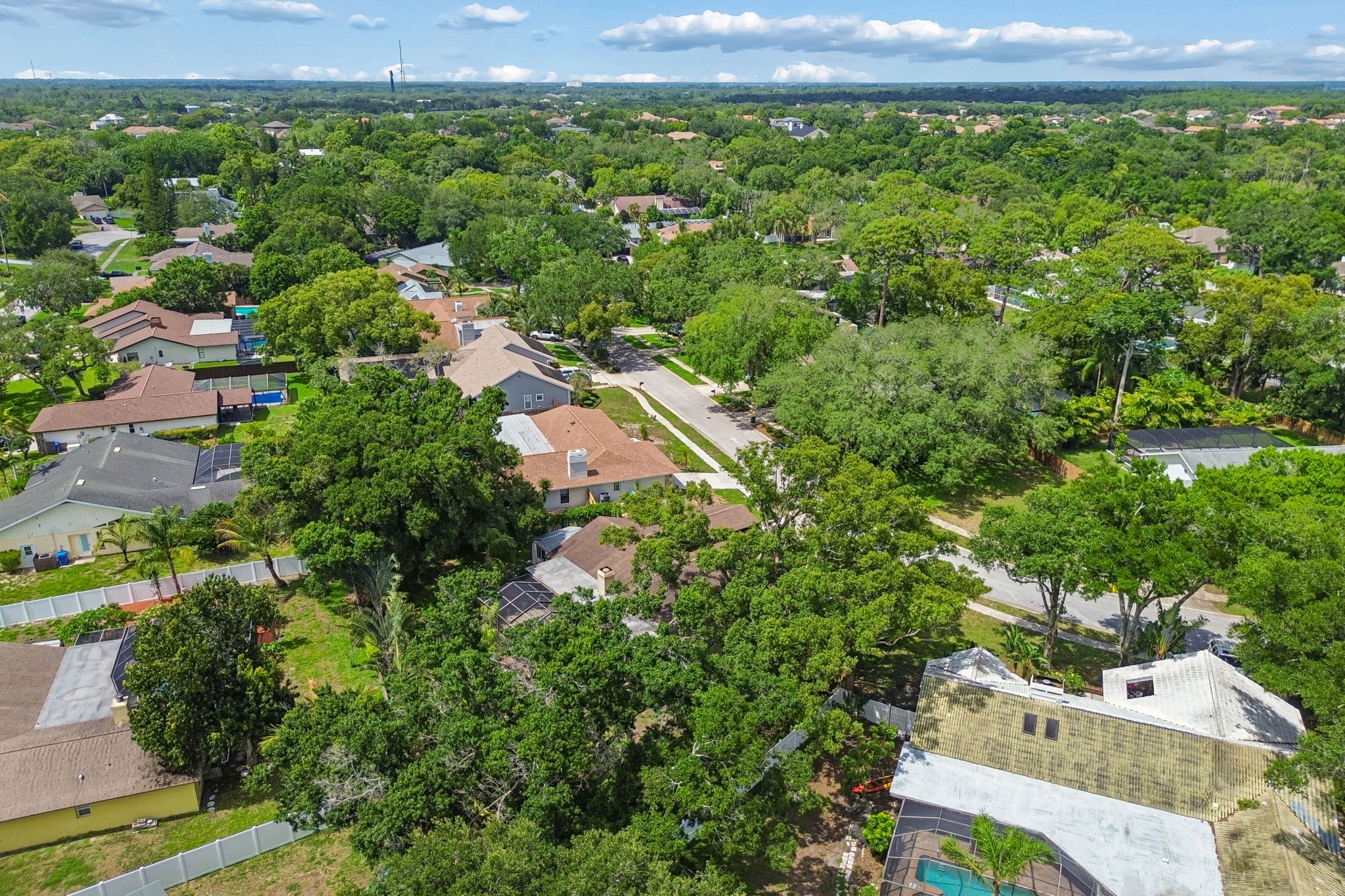 DJI_0538