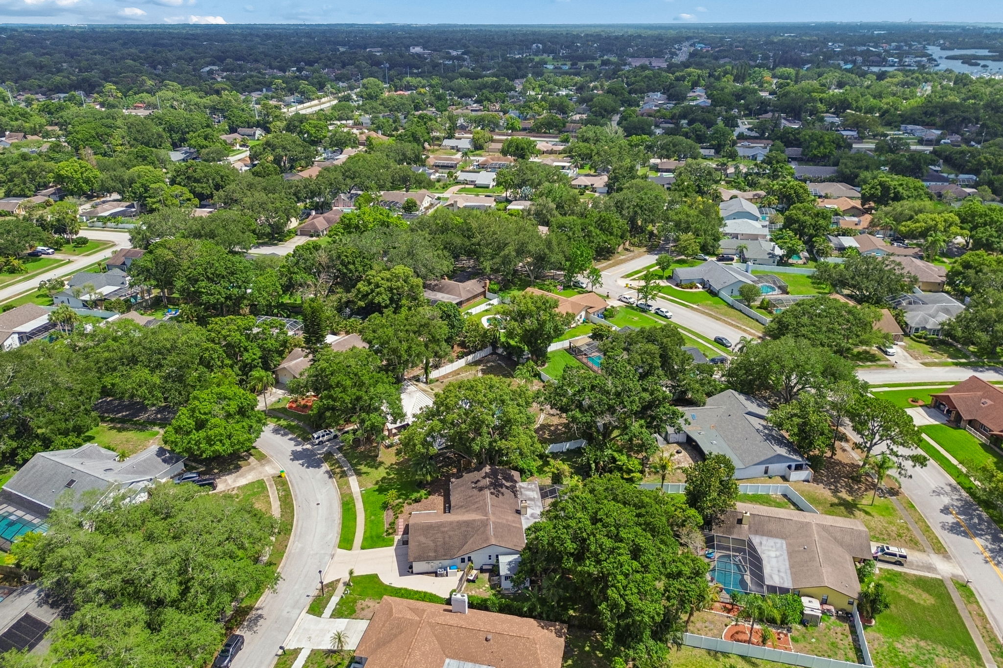 DJI_0556