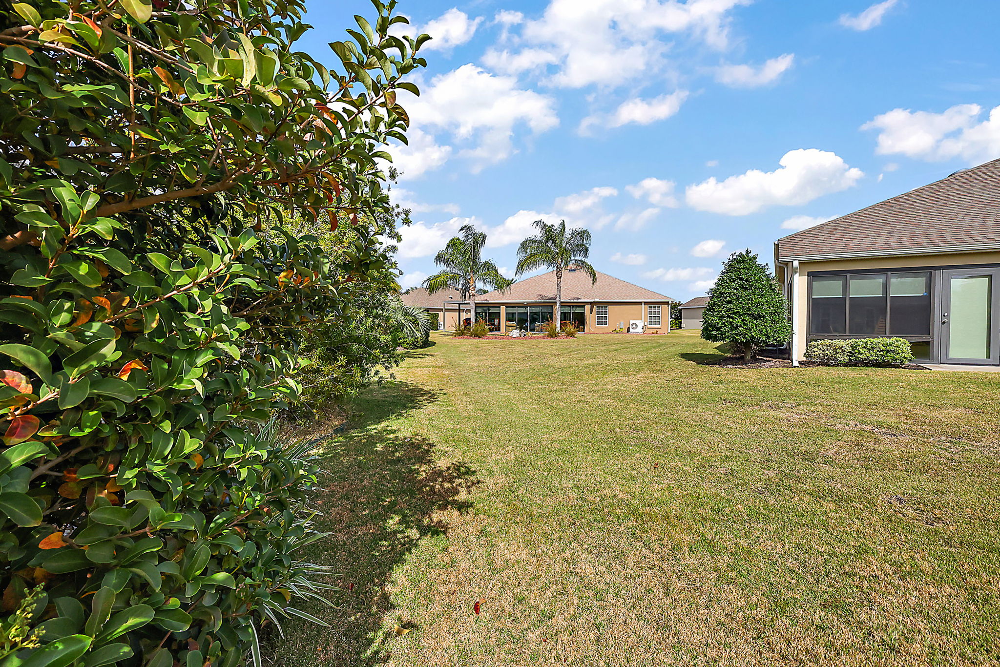 Side Yard