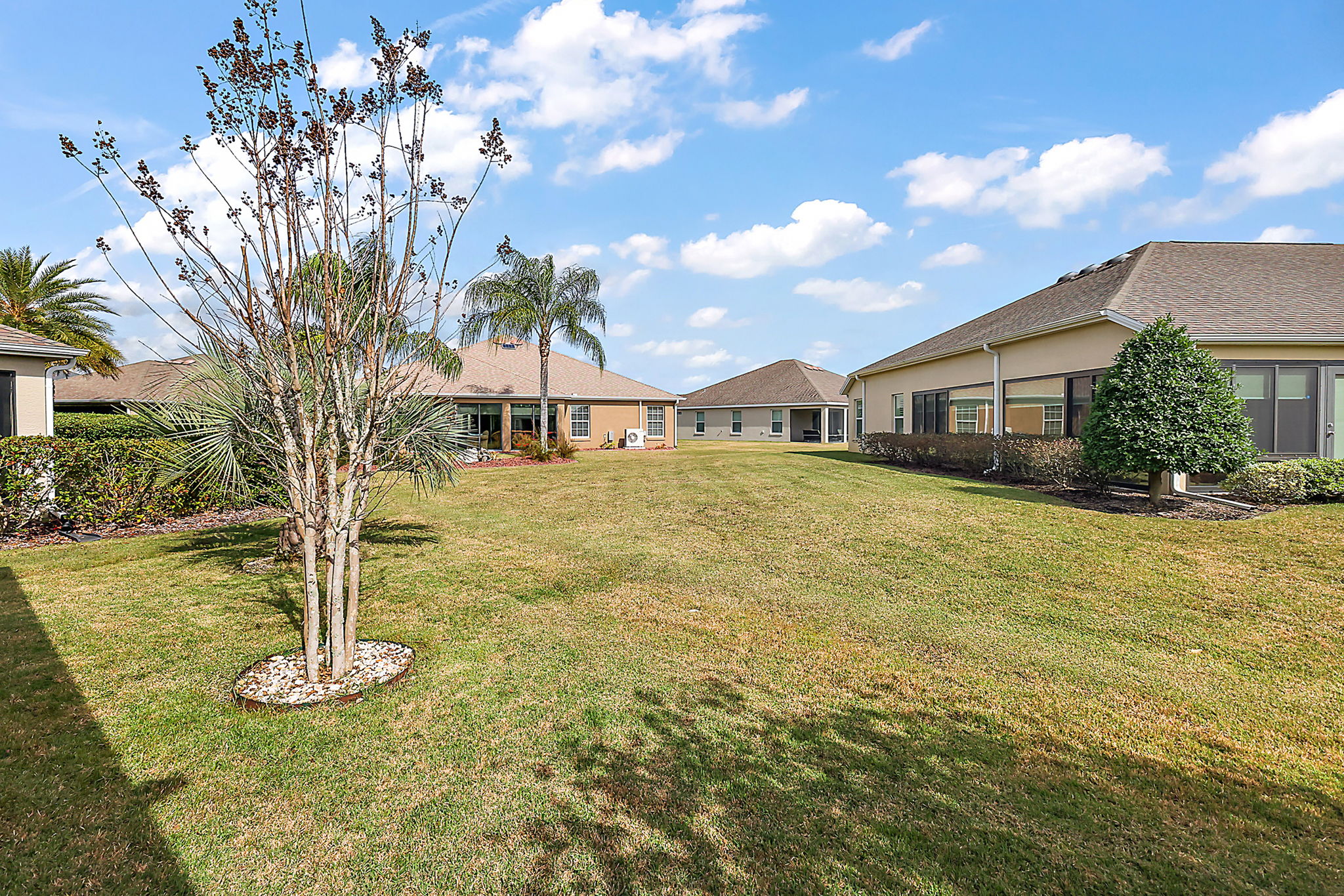 Rear Yard