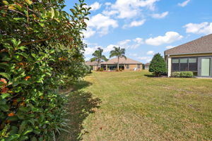 Side Yard