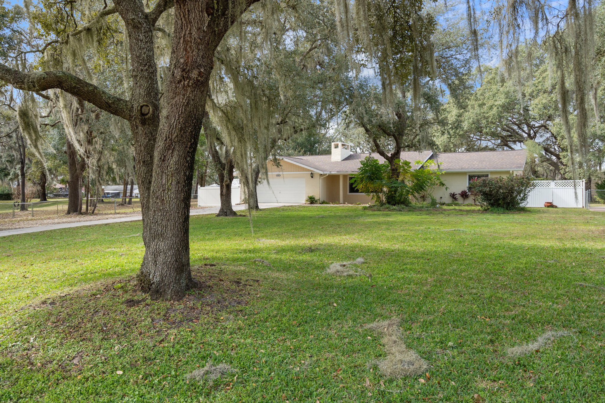 Large Front Yard