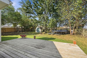 25 Backyard