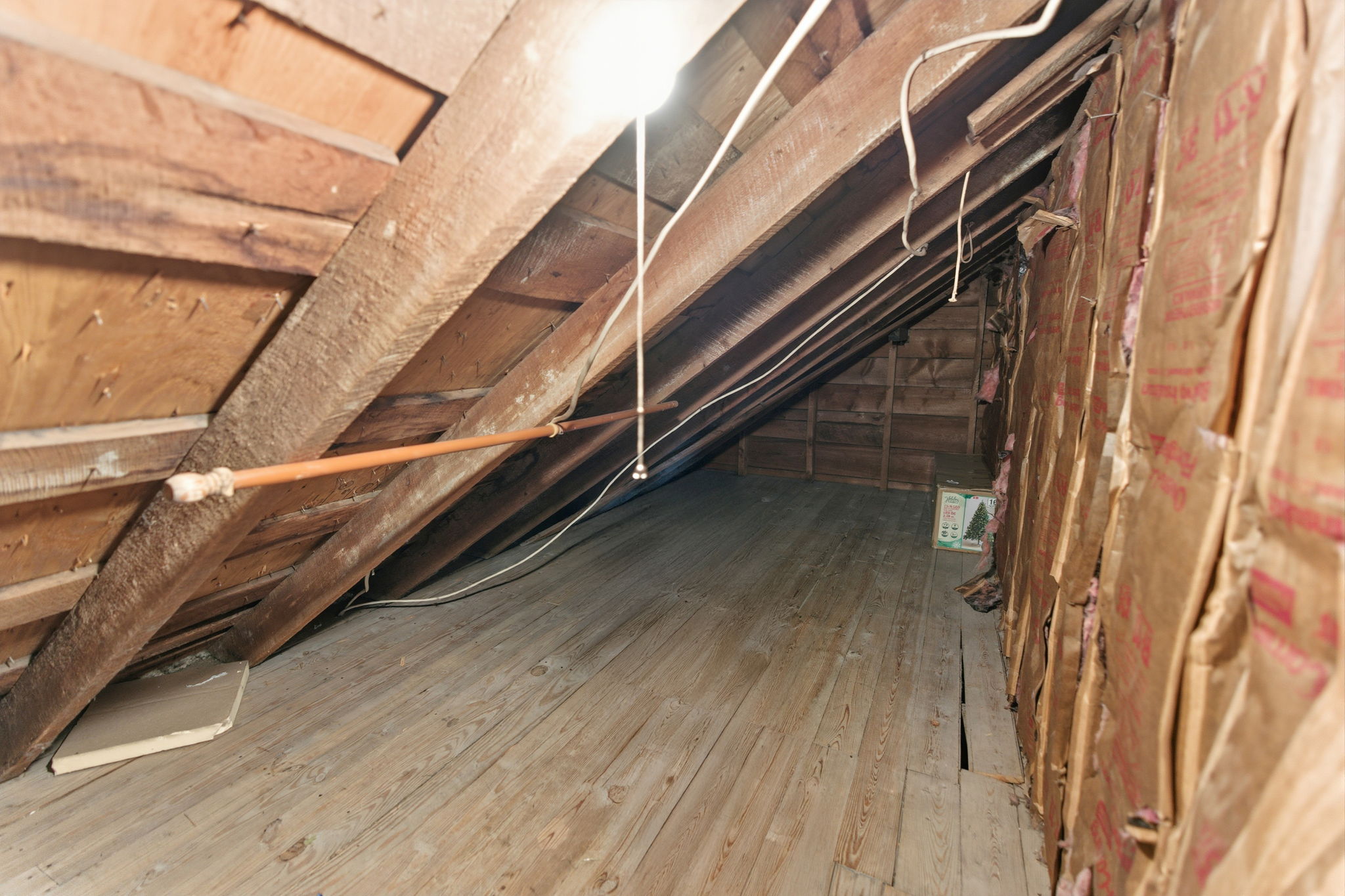  Photo 41