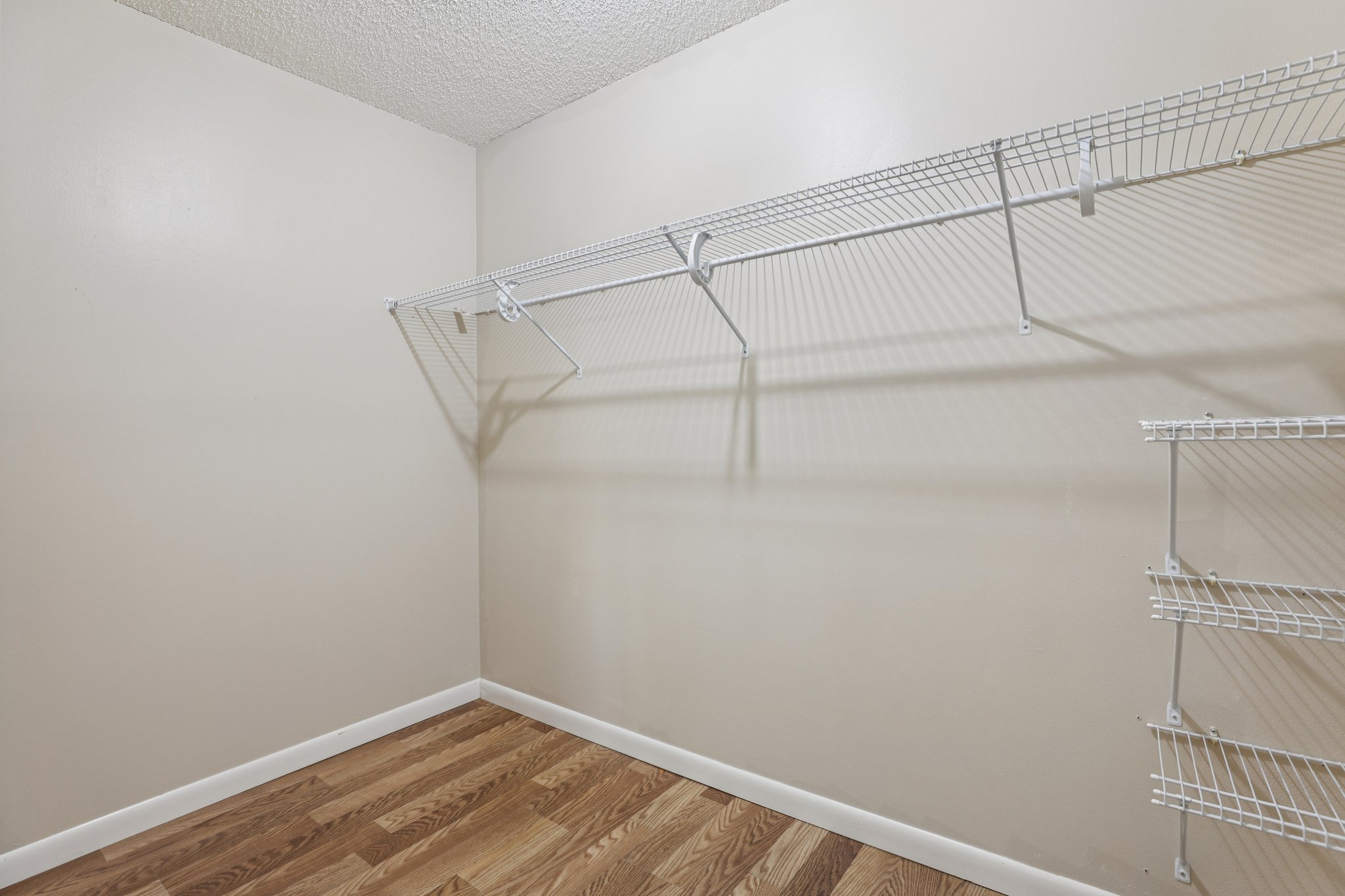 Brigadoon Cir-S0111-021.jpg