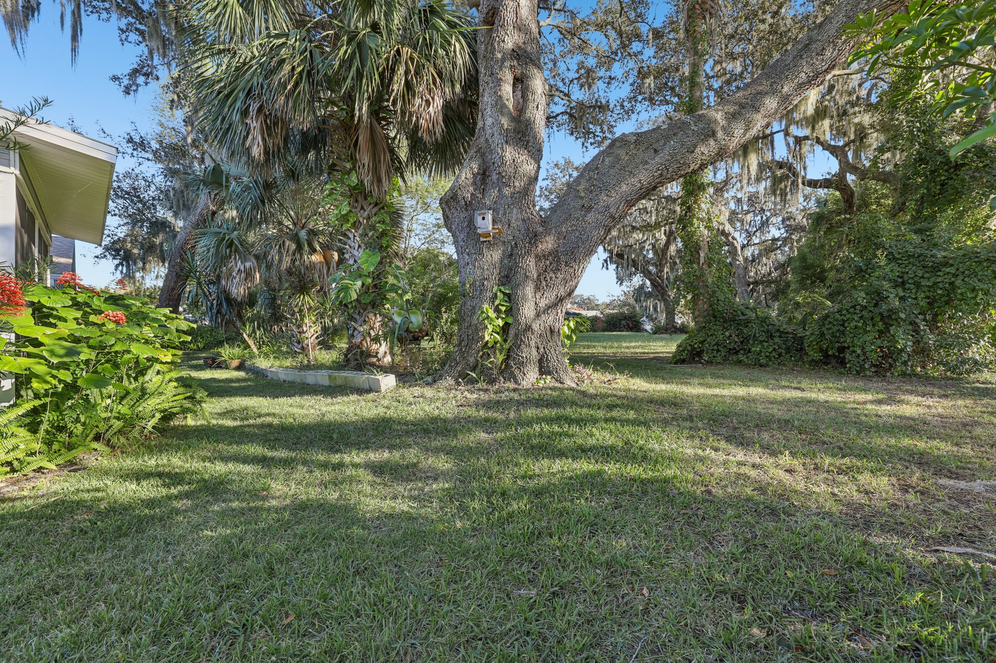 Brigadoon Cir-S0111-034.jpg