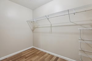 Brigadoon Cir-S0111-021.jpg