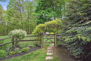  Photo 49