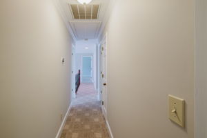  Photo 51