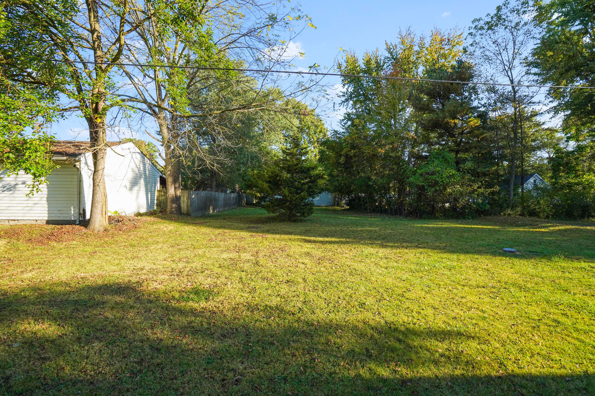  Photo 43