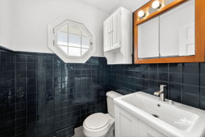 304 Golf Rd, Mount Prospect, IL 60056_BR_9