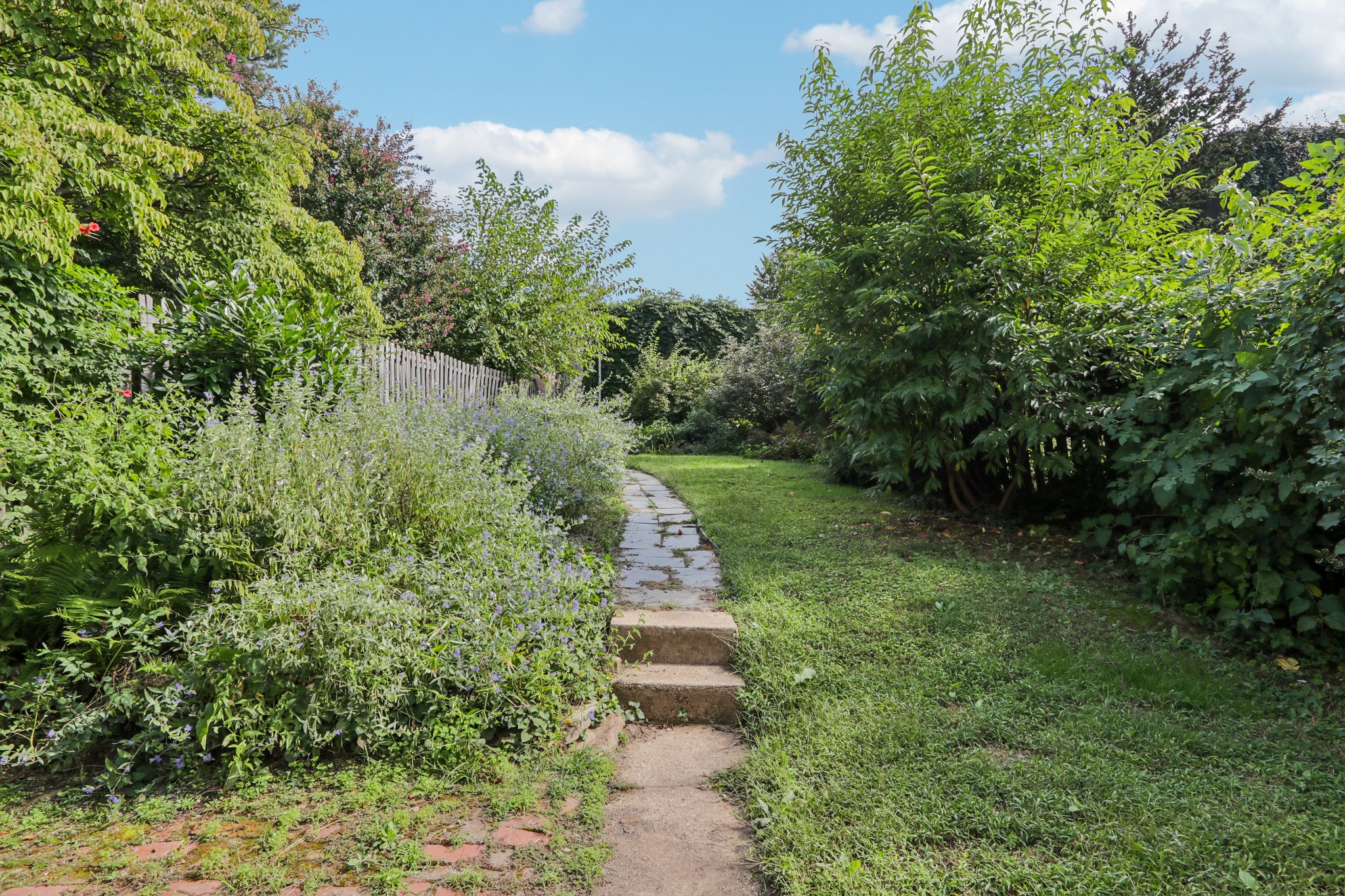 Hillside Ave-S1009-042.jpg