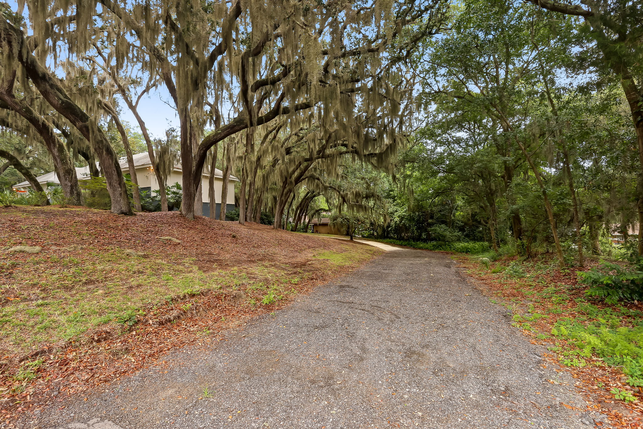 Driveway
