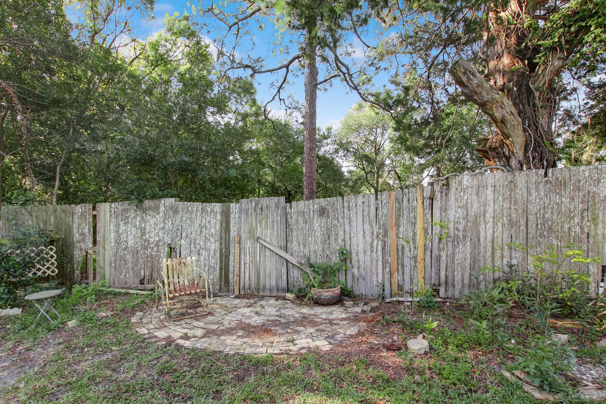 Back Yard
