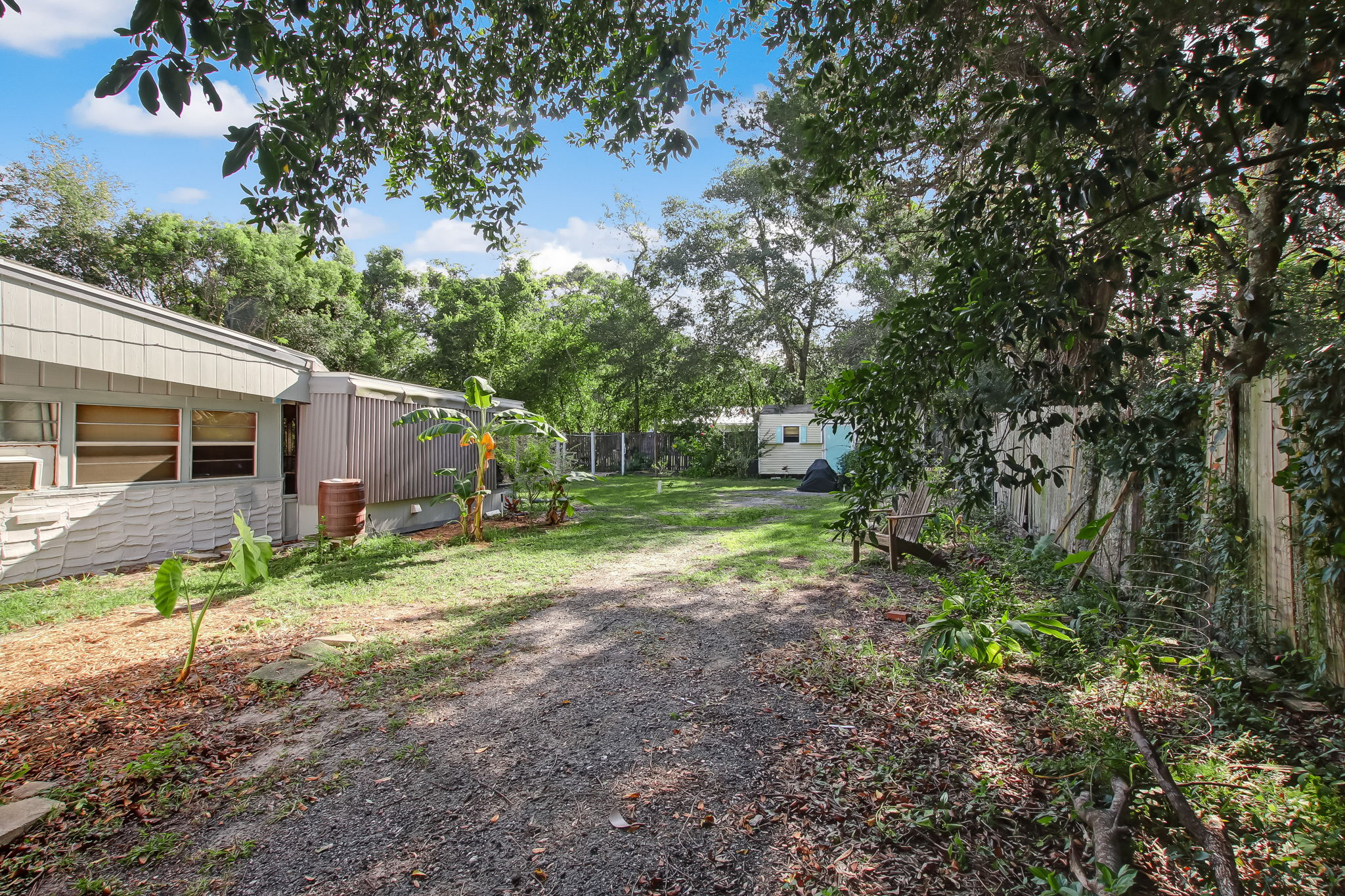 Back Yard