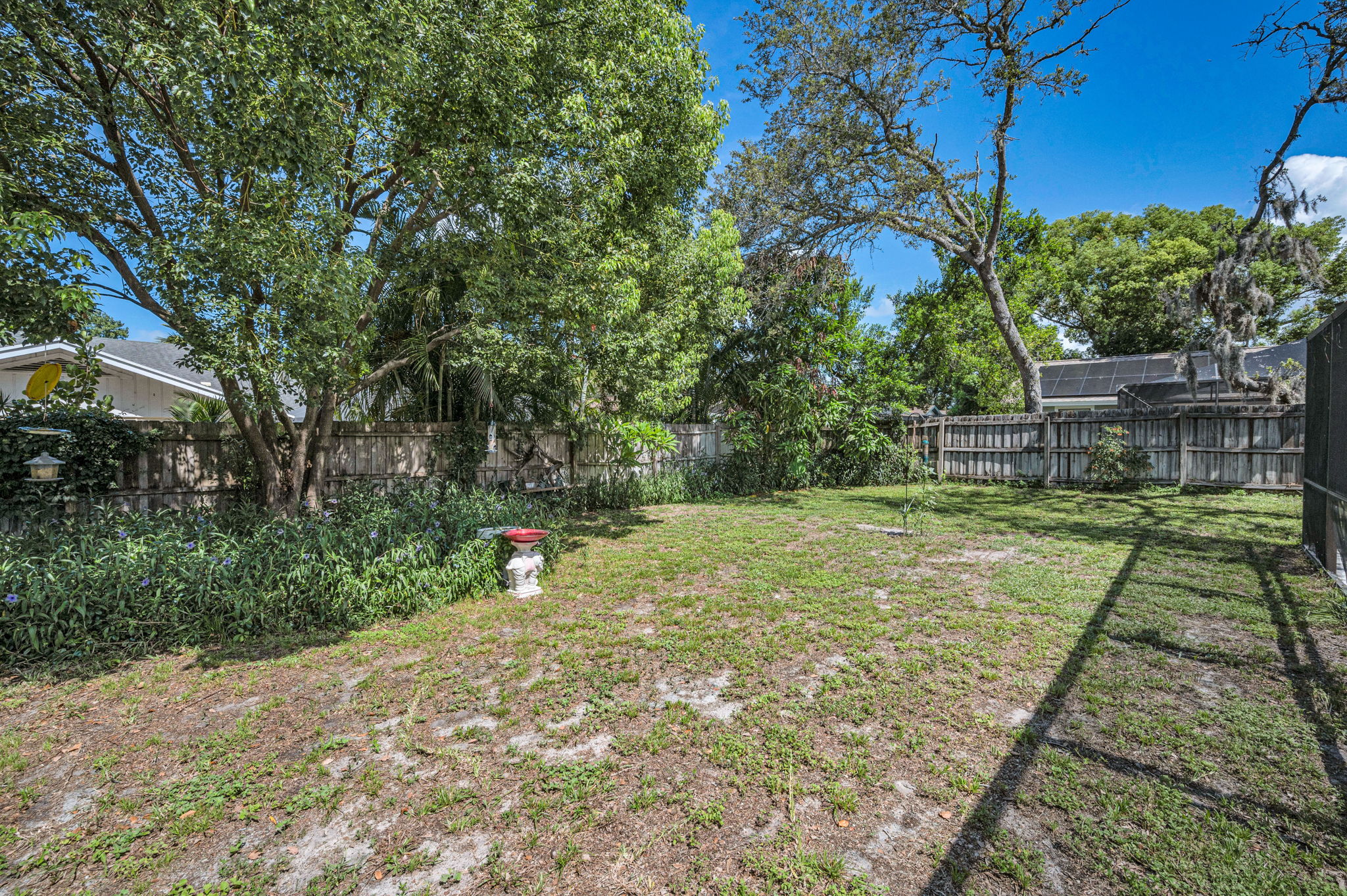 Backyard1