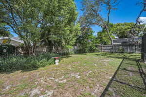 Backyard1