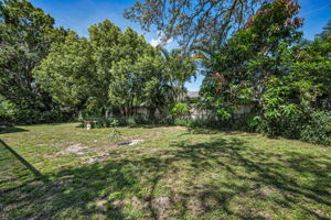 Backyard2