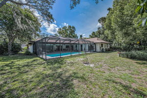 Backyard3
