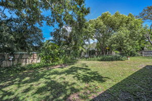 Backyard5
