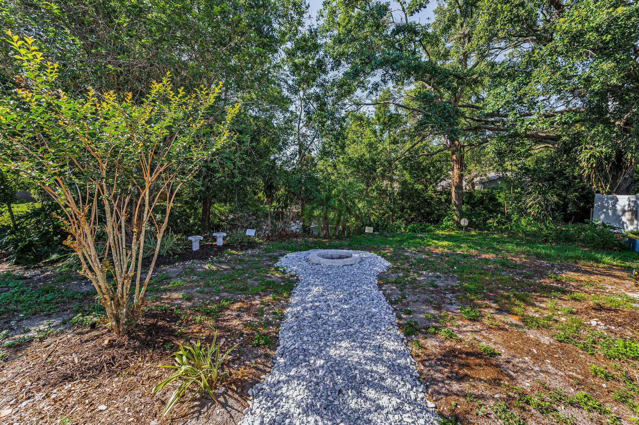 Backyard1
