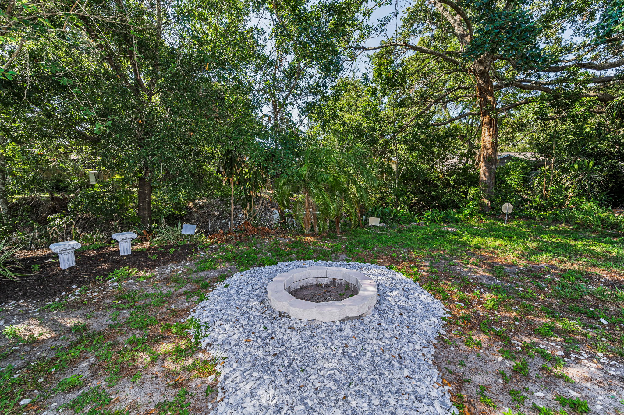 Backyard2