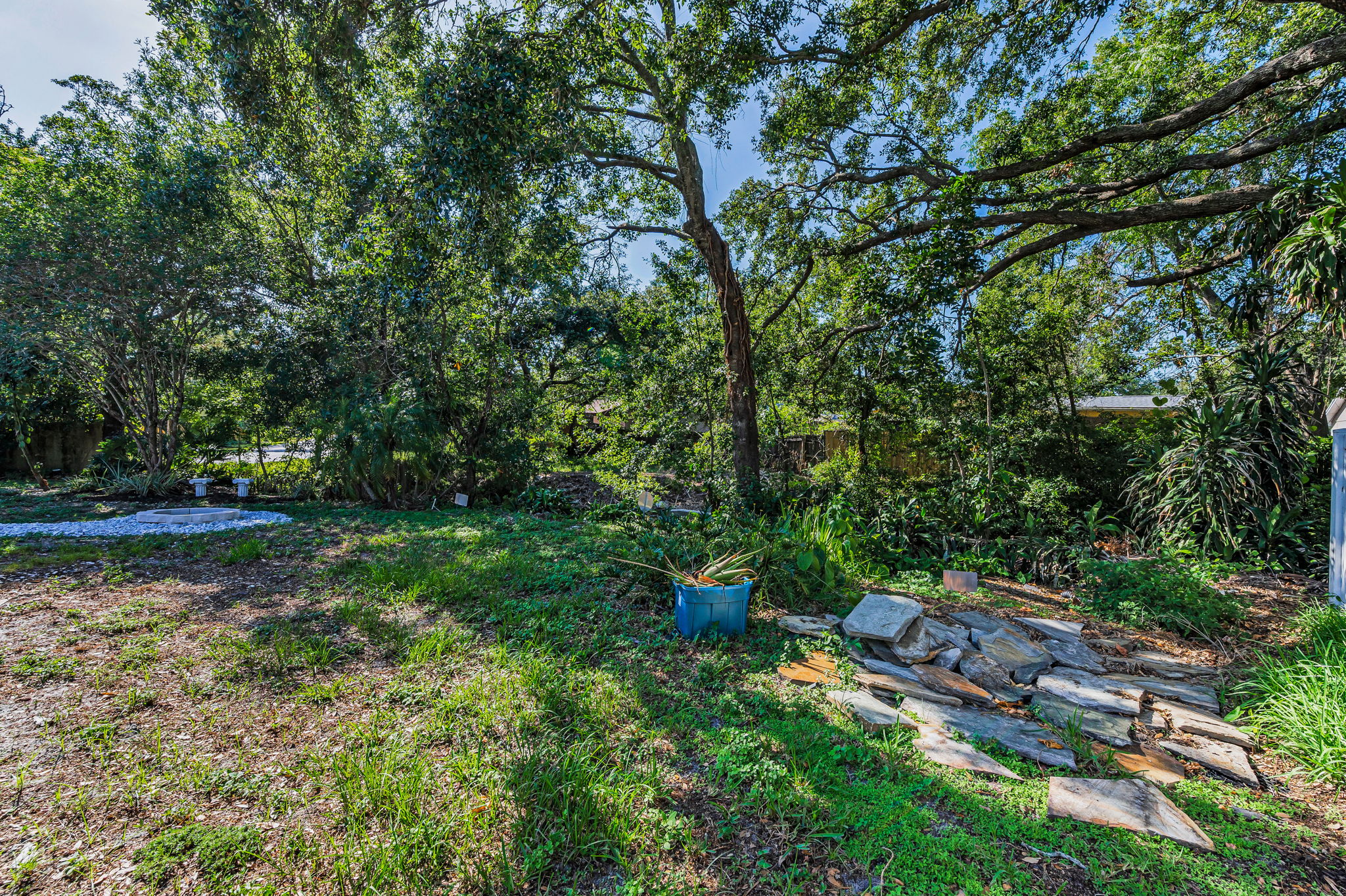 Backyard4