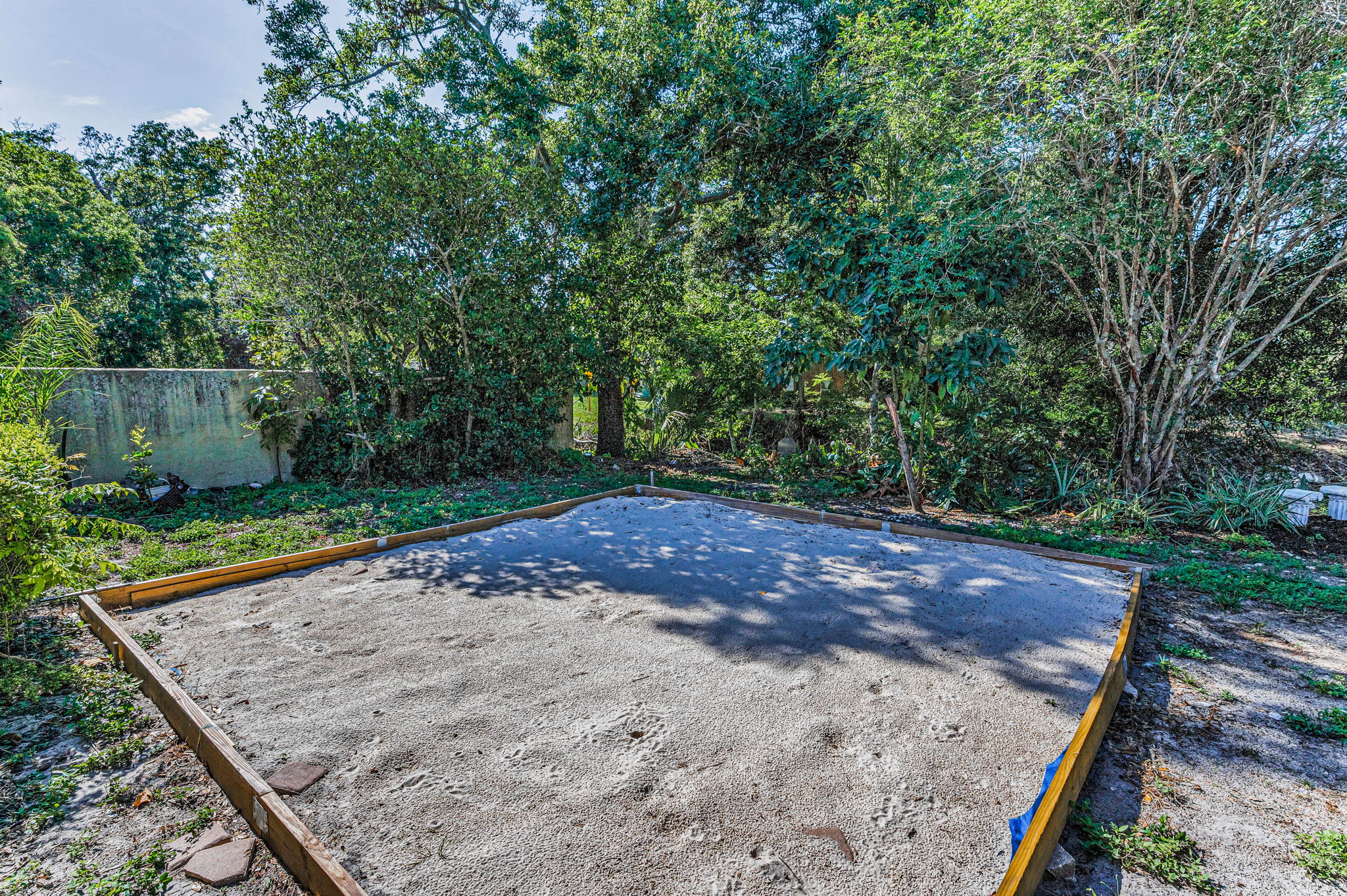 Backyard12