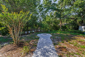 Backyard1